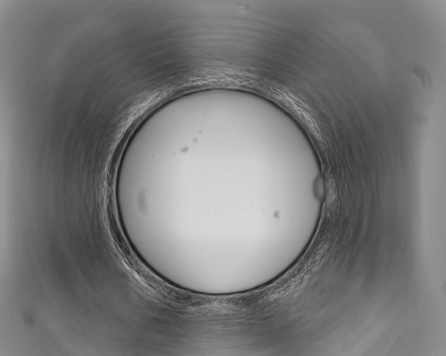 X0000111930578200907271032
