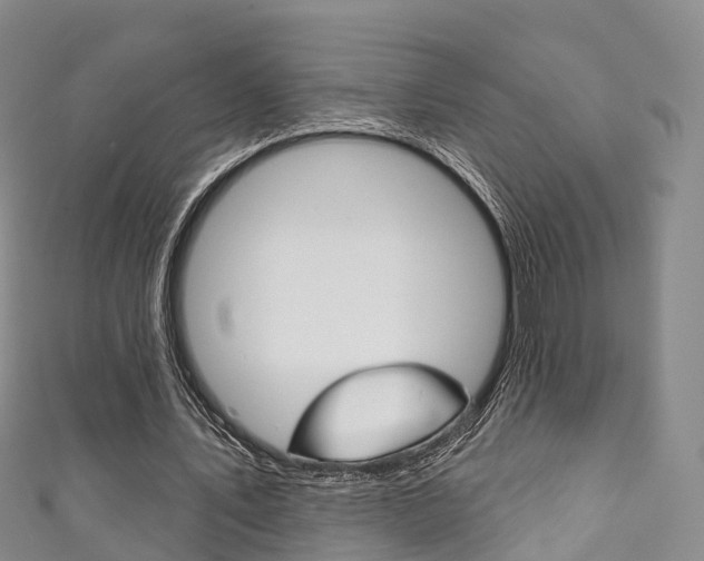 X0000111930579200907271032