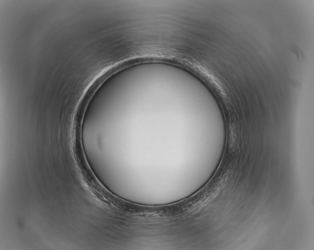 X0000111930580200907271032