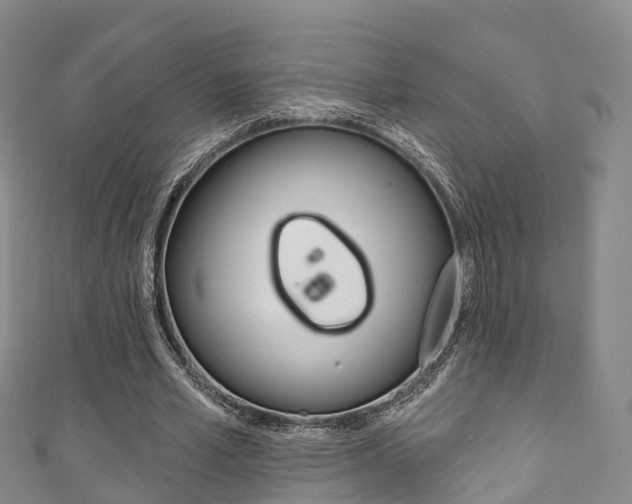 X0000111930581200907271032