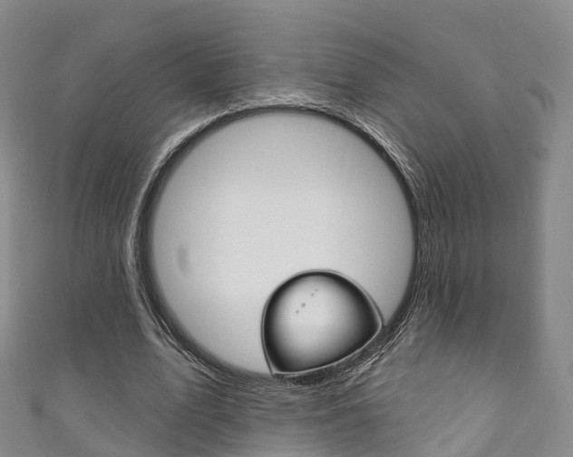 X0000111930583200907271032