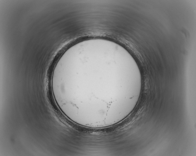 X0000111930584200907271032