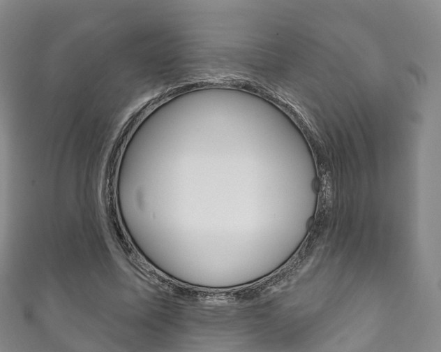 X0000111930587200907271032
