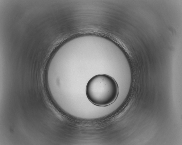 X0000111930589200907271032