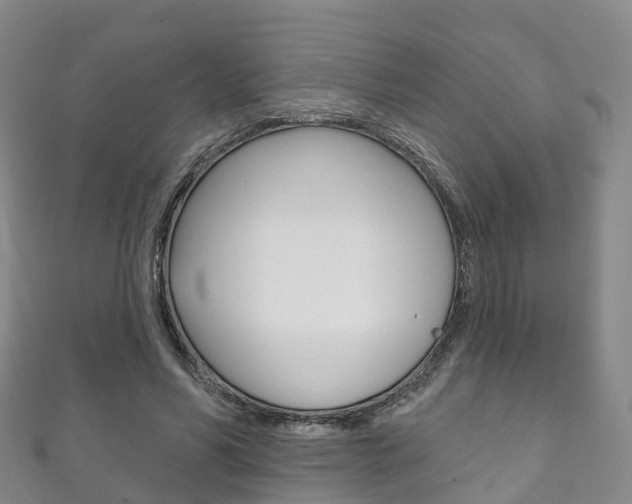 X0000111930590200907271032