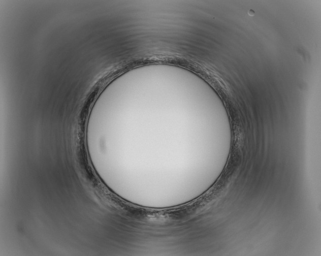X0000111930591200907271032
