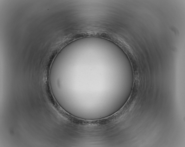 X0000111930593200907271032