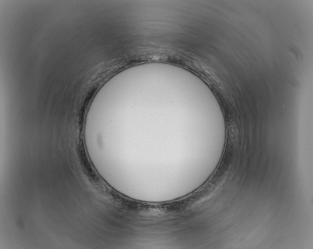 X0000111930594200907271032