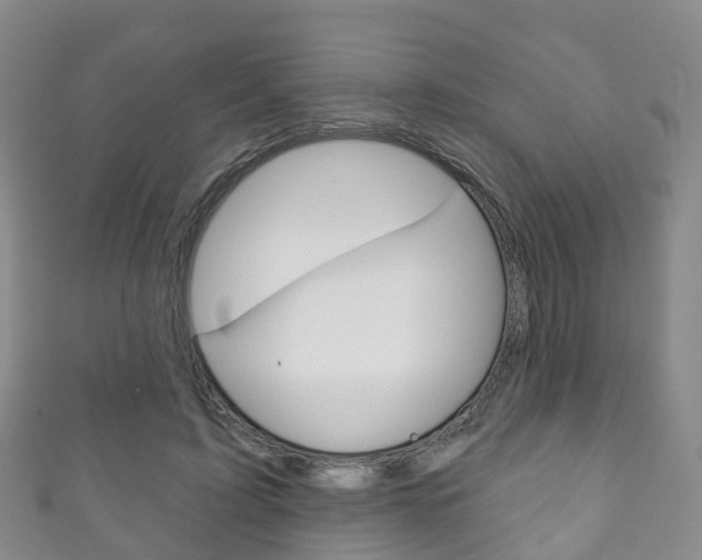 X0000111930595200907271032