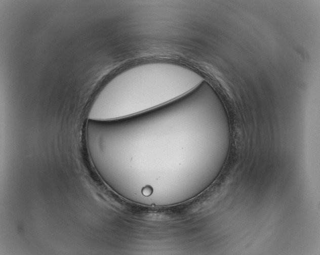 X0000111930596200907271032