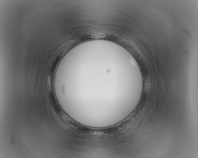 X0000111930598200907271032