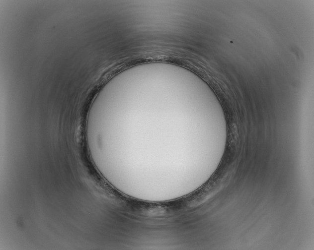 X0000111930600200907271032