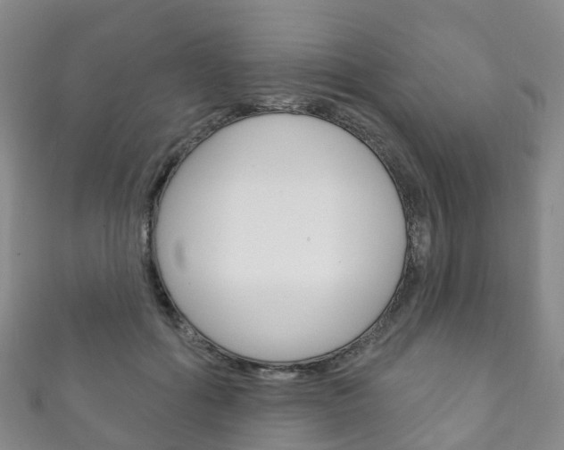 X0000111930602200907271032