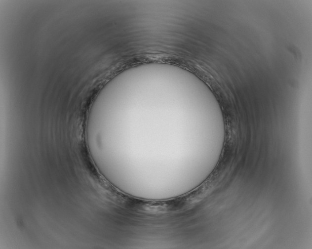 X0000111930606200907271032