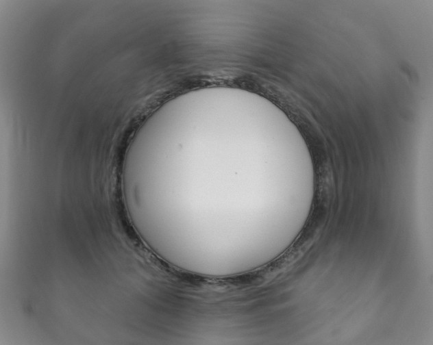 X0000111930608200907271032