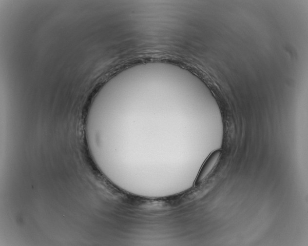 X0000111930609200907271032