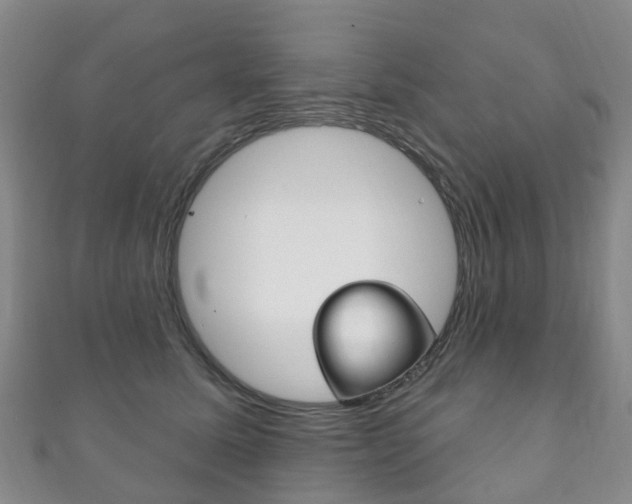 X0000111930611200907271032