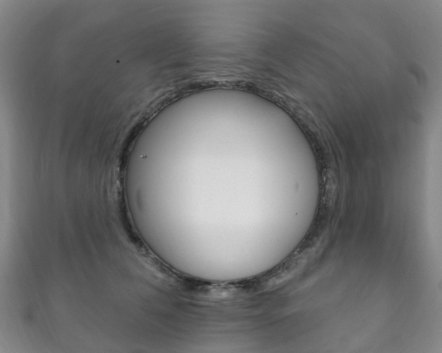 X0000111930612200907271032