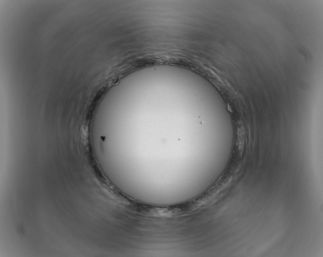 X0000111930613200907271032