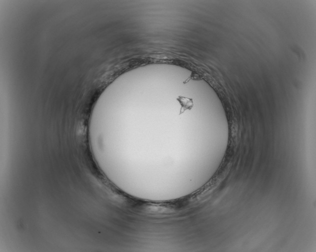 X0000111930614200907271032