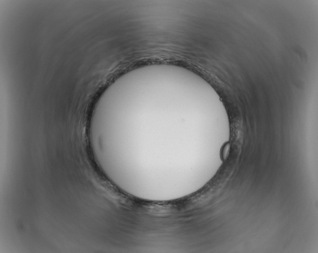 X0000111930615200907271032