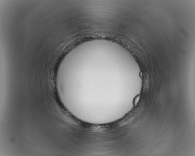 X0000111930616200907271032