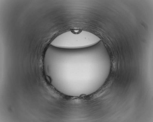 X0000111930620200907271032
