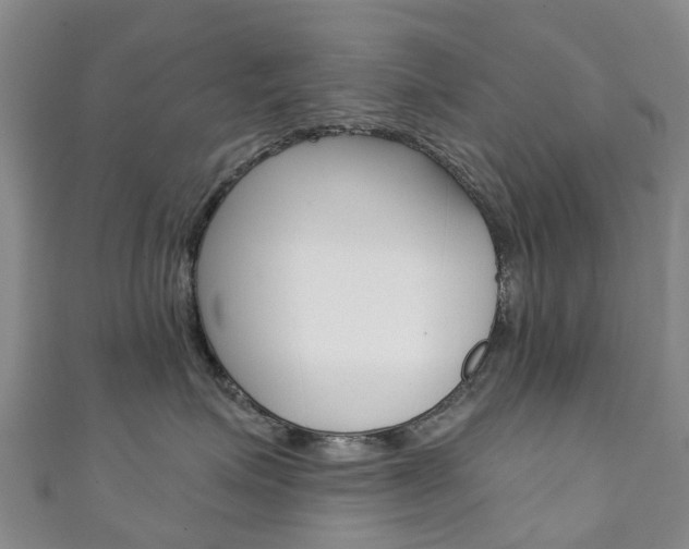 X0000111930623200907271032
