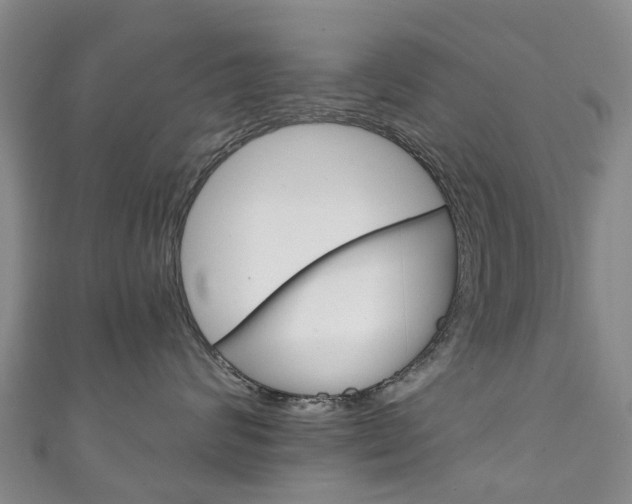 X0000111930624200907271032