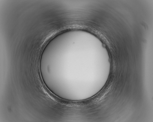 X0000111930625200907271031