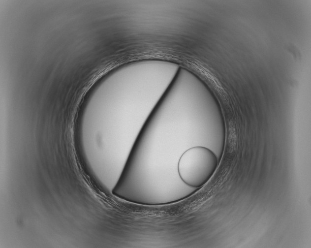 X0000111930626200907271031