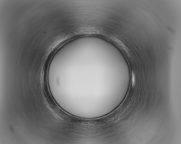X0000111930627200907271031