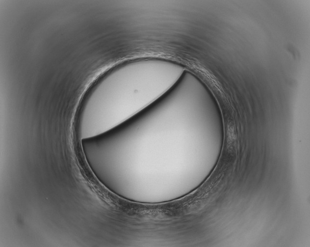 X0000111930628200907271031