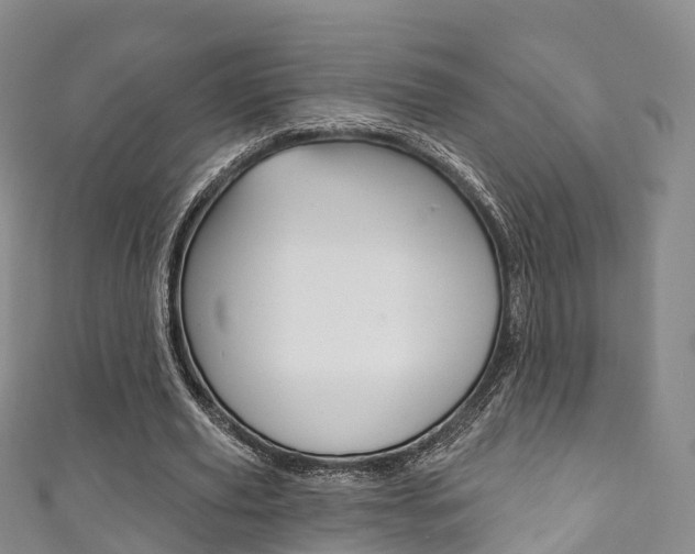 X0000111930629200907271031