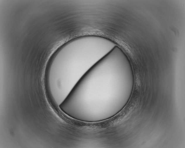 X0000111930630200907271031