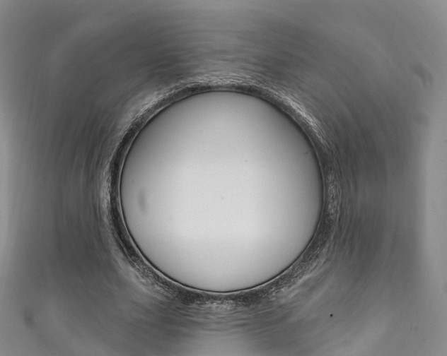 X0000111930631200907271031