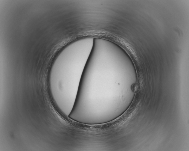 X0000111930633200907271031