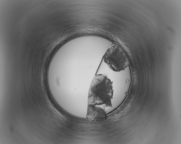 X0000111930637200907271031