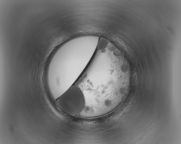 X0000111930638200907271031