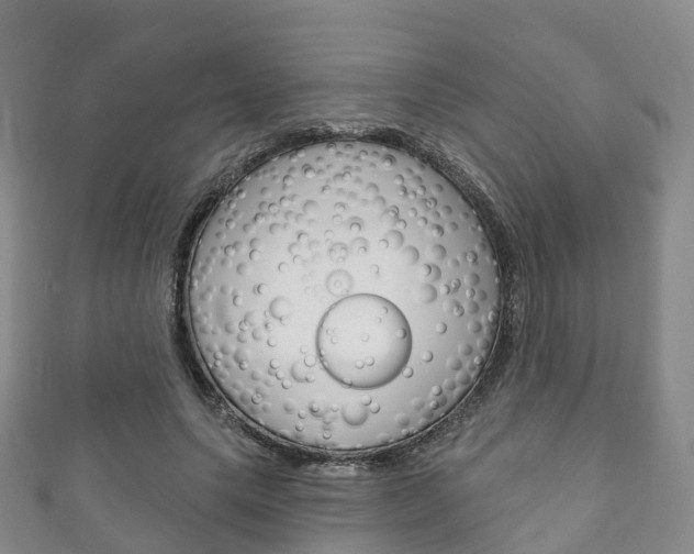 X0000111930639200907271031