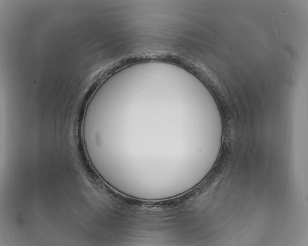 X0000111930640200907271031