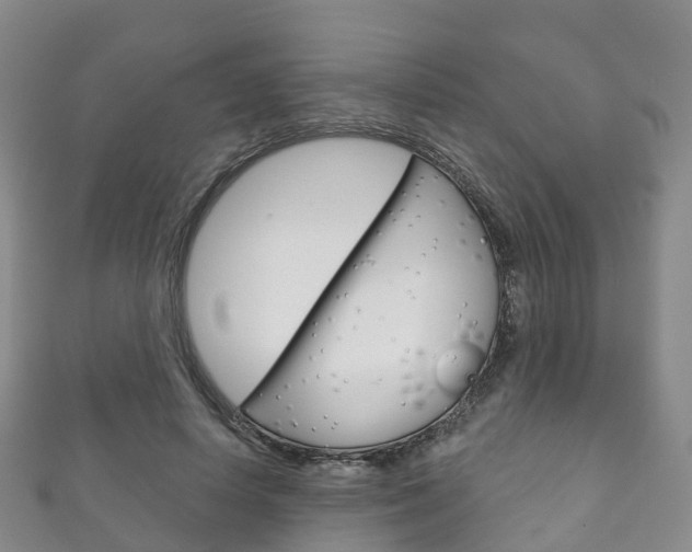 X0000111930642200907271031