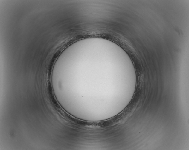 X0000111930644200907271031