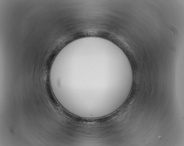 X0000111930645200907271031