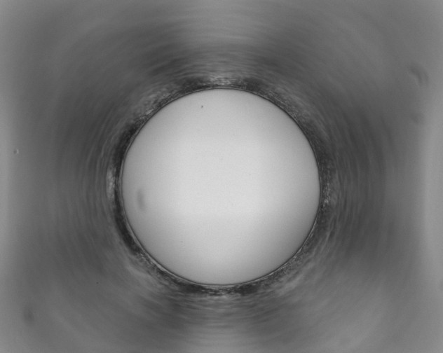 X0000111930646200907271031
