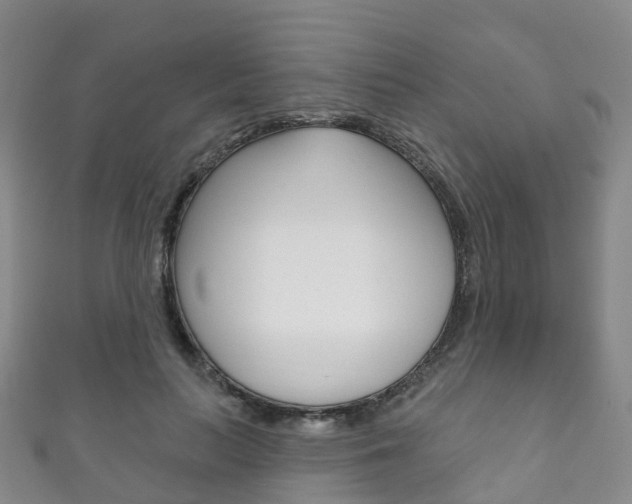X0000111930647200907271031