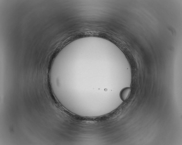 X0000111930649200907271031