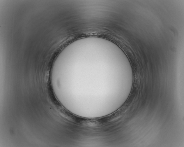 X0000111930652200907271031