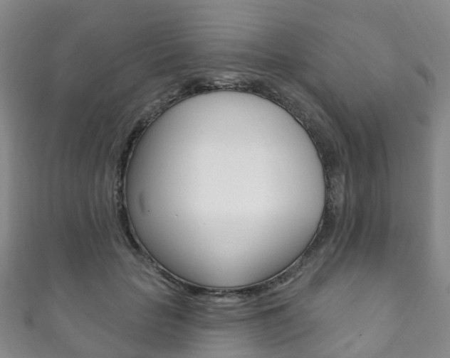 X0000111930653200907271031