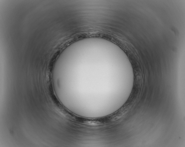 X0000111930654200907271031